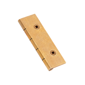 Dummy Hinge with Pozi Screws