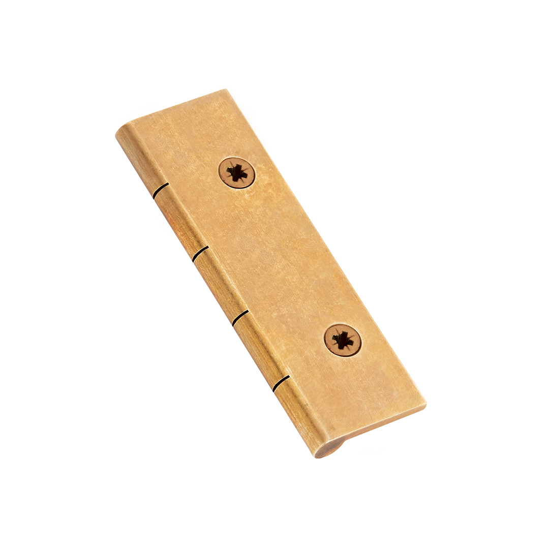 Dummy Hinge with Pozi Screws