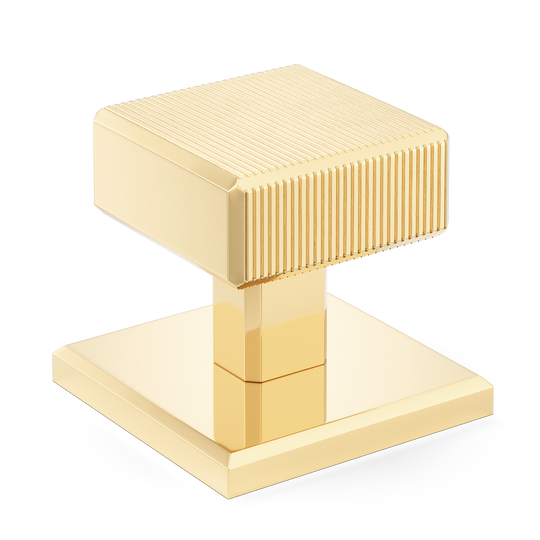 Sample of Digbeth Ridged Cabinet Knob with Backplate