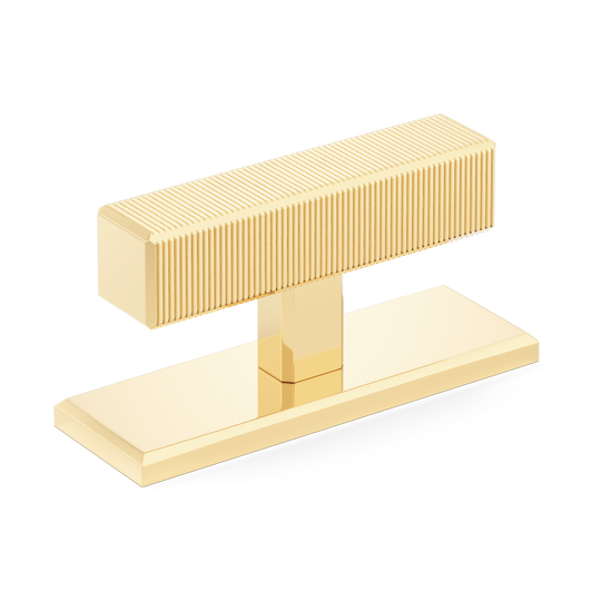 Sample of Digbeth Ridged T-bar Handle with Backplate