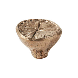 Highbury Lemon Silicon Bronze Cabinet Knob