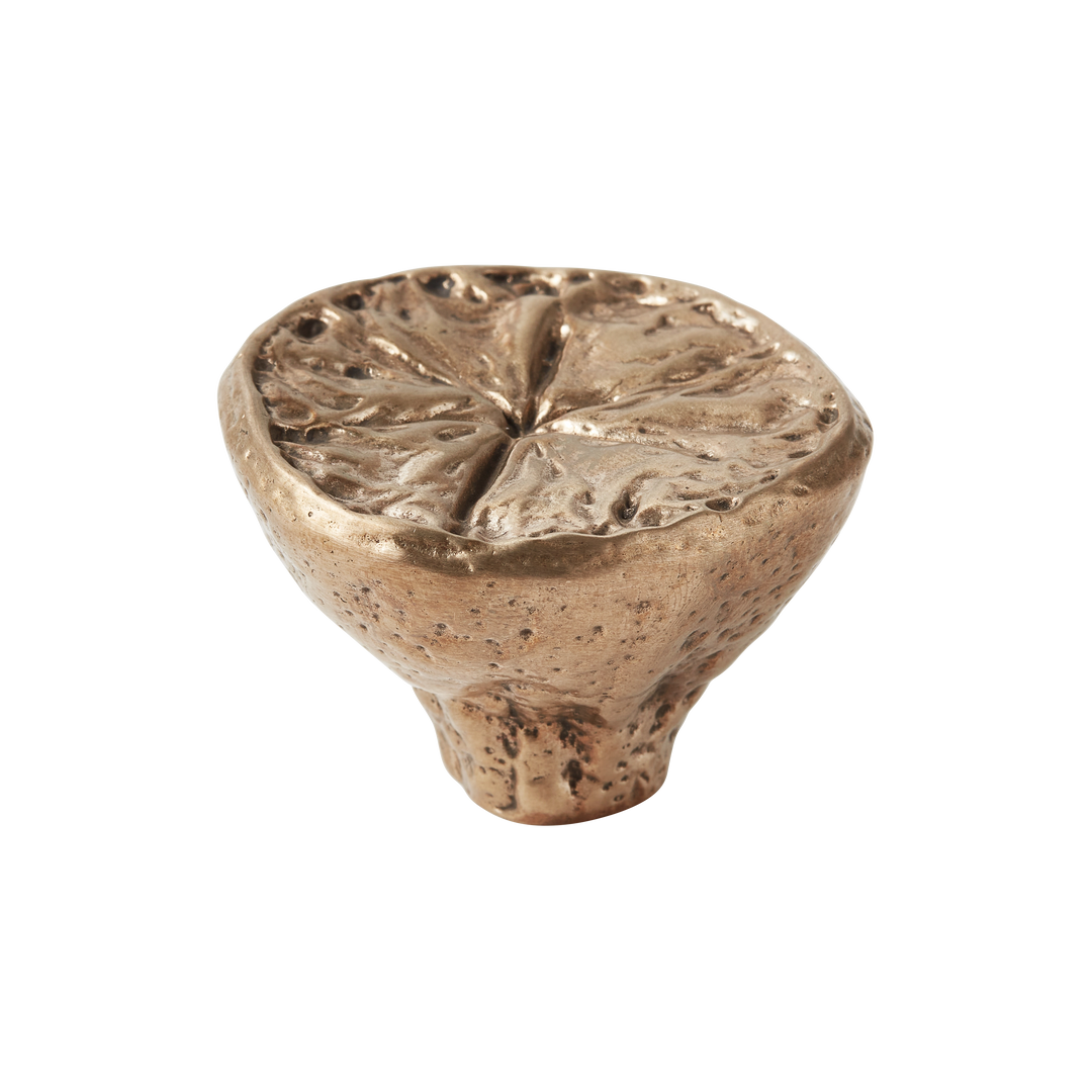 Highbury Lemon Silicon Bronze Cabinet Knob