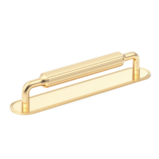 Sample of Barwick Ridged Cabinet Pull Handle with Backplate