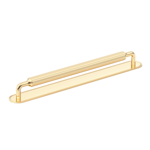 Sample of Barwick Ridged Appliance Pull with Backplate