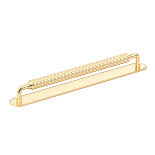 Sample of Barwick Ridged Appliance Pull with Backplate