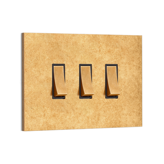 Chamberlain Plain 3G Rocker Switch