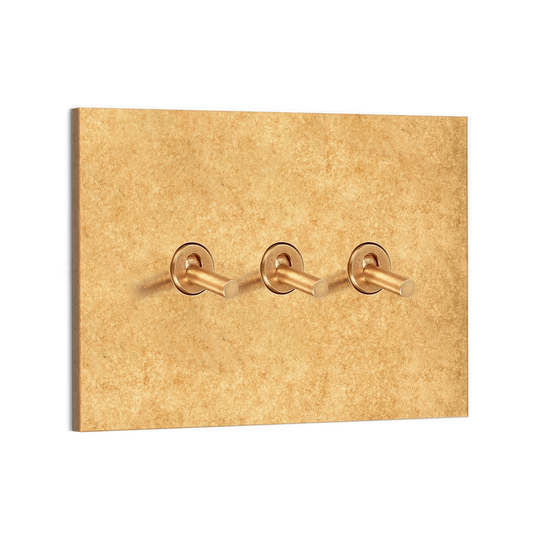 Chamberlain Plain 3G Toggle Switch