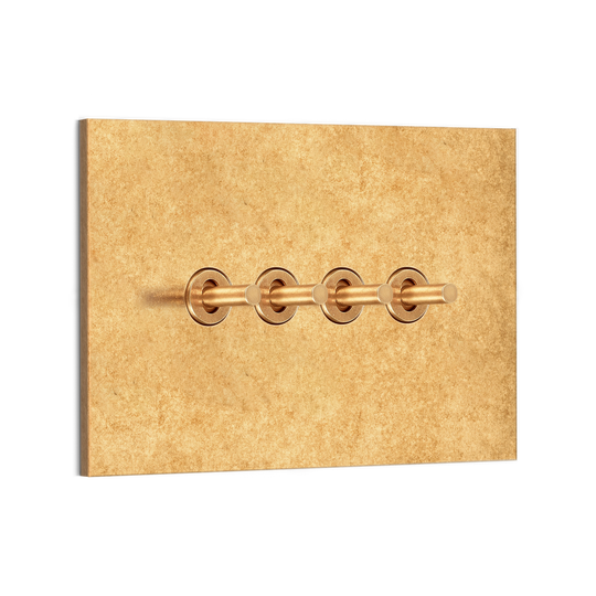 Chamberlain Plain 4G Retract to Centre Toggle Switch