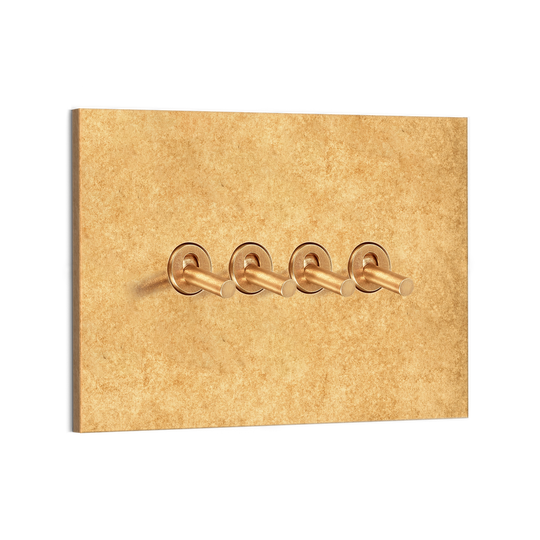 Chamberlain Plain 4G Toggle Switch