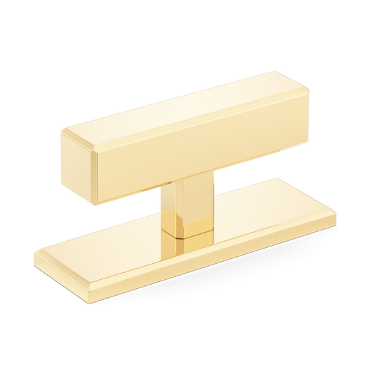 Sample of Digbeth Plain T-bar Handle with Backplate