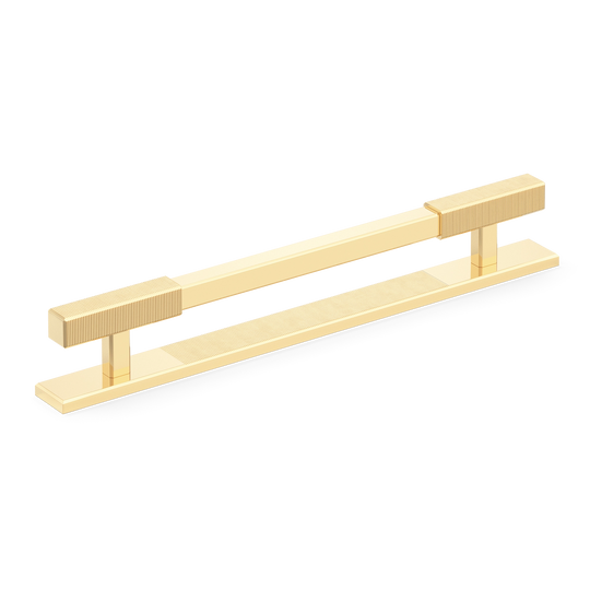 Sample of Digbeth Ridged Cabinet Handle with Backplate