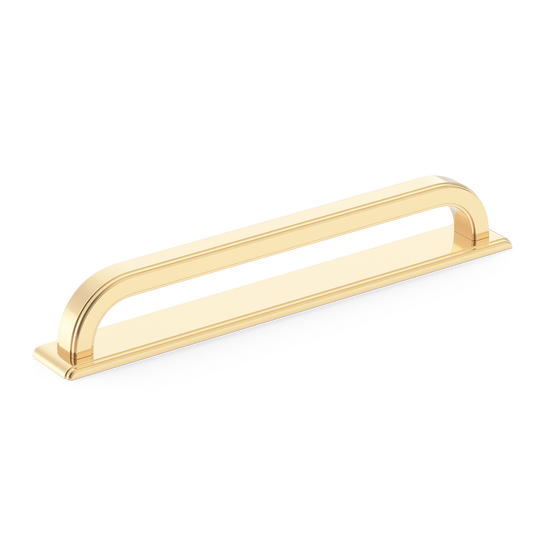 Sample of Dougan Cabinet Handle with Backplate