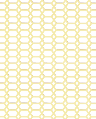 Honeycomb Perforated Grille