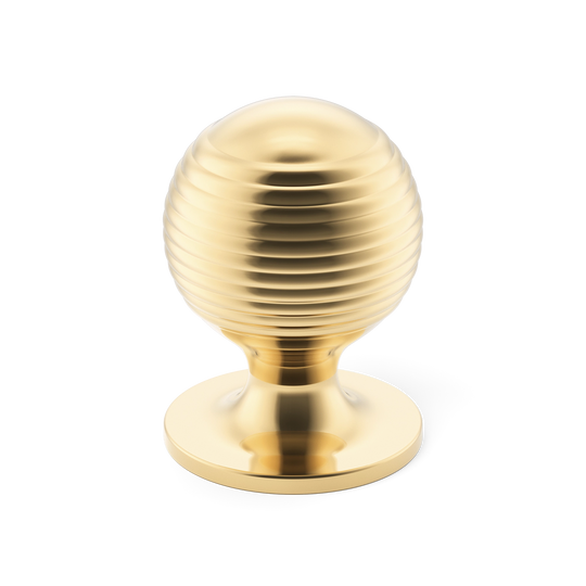 Sample of Merrick Cabinet Knob