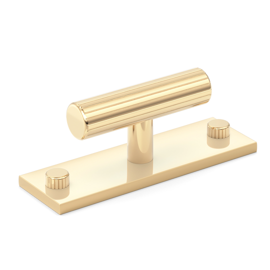 Sample of MIX Straight Knurled T-bar Handle & Backplate