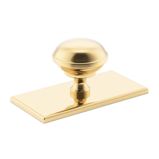 Sample of Queslett Cabinet Knob with Rectangular Backplate