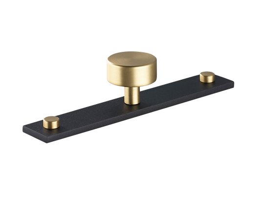 Sample of MIX Plain Cabinet Knob & Backplate - Mixed Finish